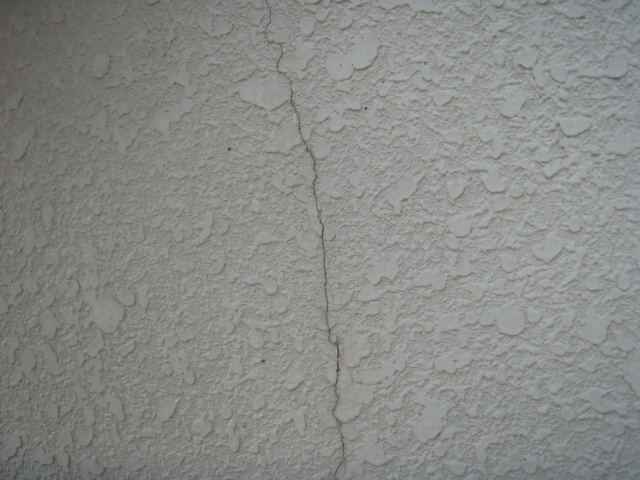 b0071653_2014544.jpg
