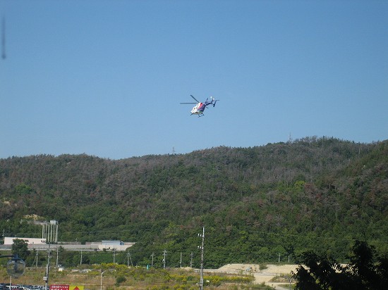 d0031853_6594279.jpg