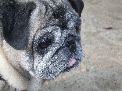 e0126054_1037291.jpg