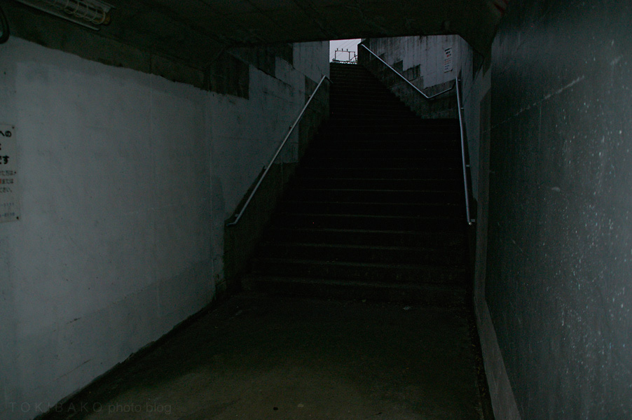 d0100156_21143325.jpg