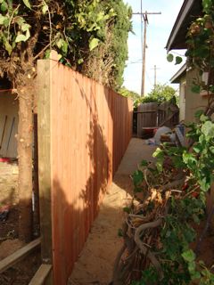 f0198556_1256940.jpg