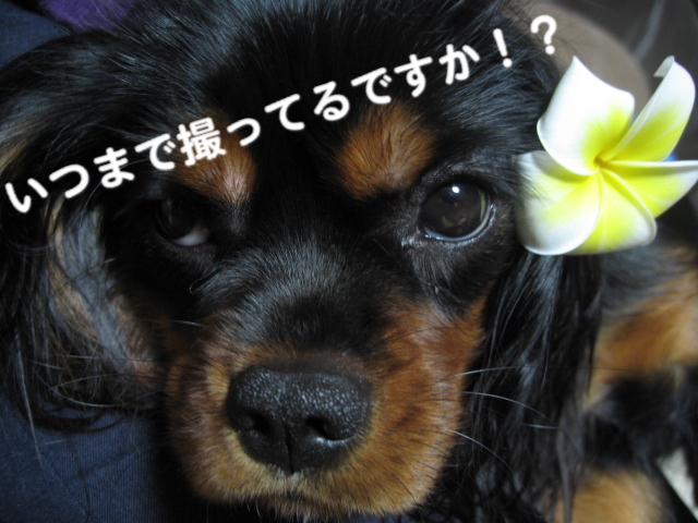a0101958_15501840.jpg
