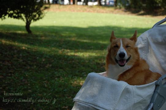 c0149160_21155513.jpg