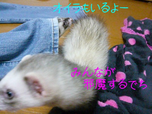 c0165472_3522274.jpg