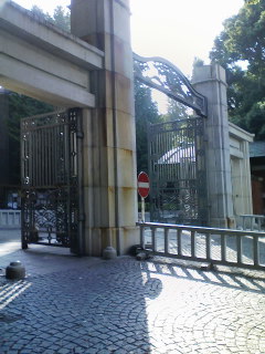 f0112873_2074966.jpg