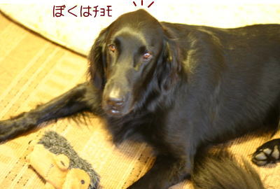 f0045283_19144036.jpg
