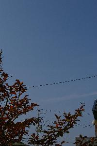 c0039898_9212373.jpg