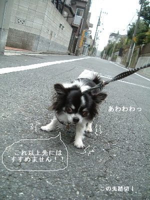 a0079803_2233276.jpg