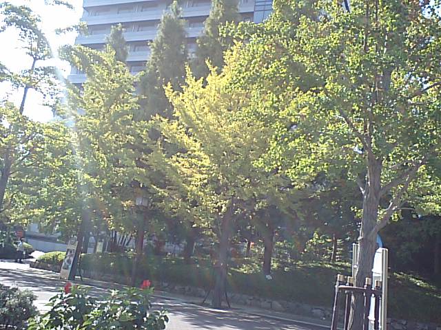 d0054704_23525495.jpg