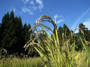 f0135908_21583463.jpg