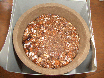 c0143711_1223592.gif
