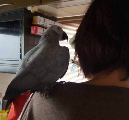 c0133013_2152840.jpg
