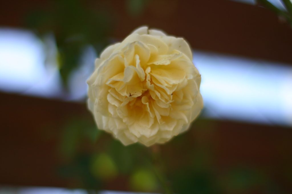 b0145314_021745.jpg