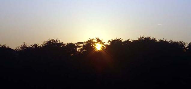 e0083820_20352687.jpg