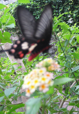 e0148120_12121531.jpg
