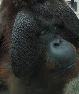 e0148120_12125679.jpg