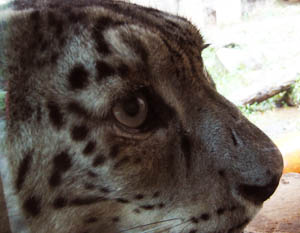 e0148120_12132513.jpg
