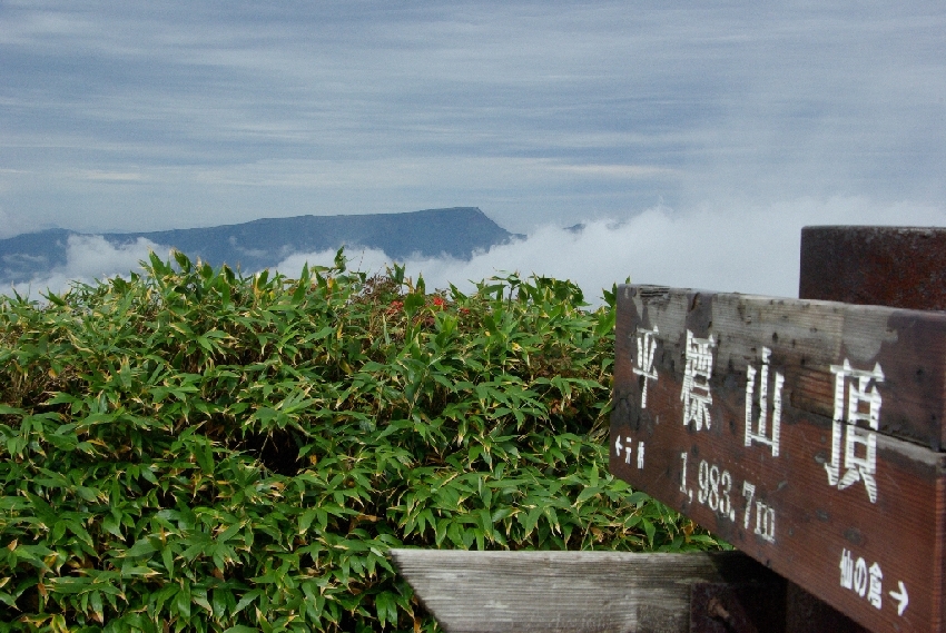 b0062024_21391435.jpg