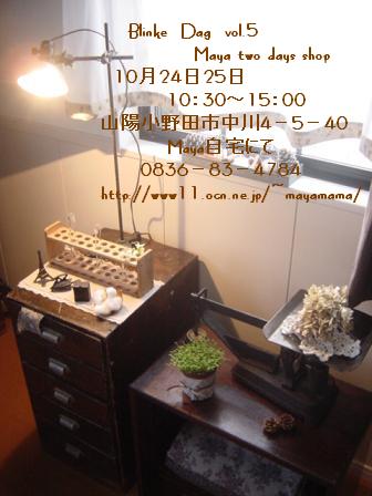 e0050324_2121137.jpg