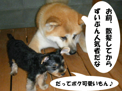 f0008935_3161965.gif