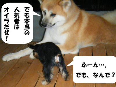 f0008935_3163030.gif