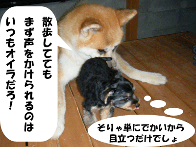 f0008935_3163993.gif