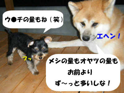 f0008935_3164868.gif