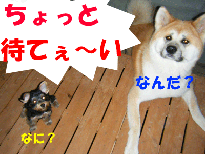 f0008935_3165978.gif