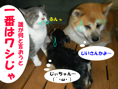 f0008935_317849.gif