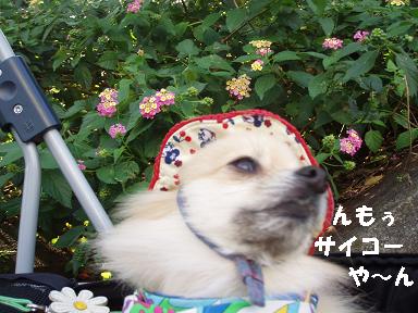 c0179136_21522971.jpg