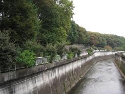 f0005043_22192443.jpg