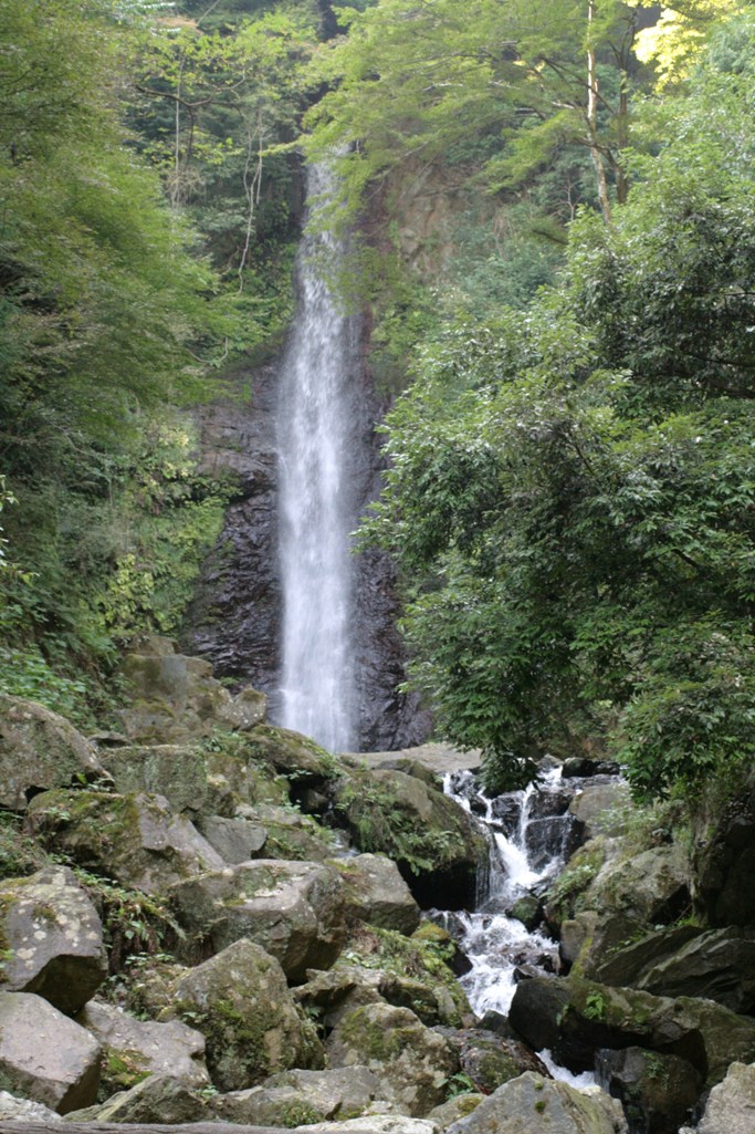 a0104448_19423771.jpg