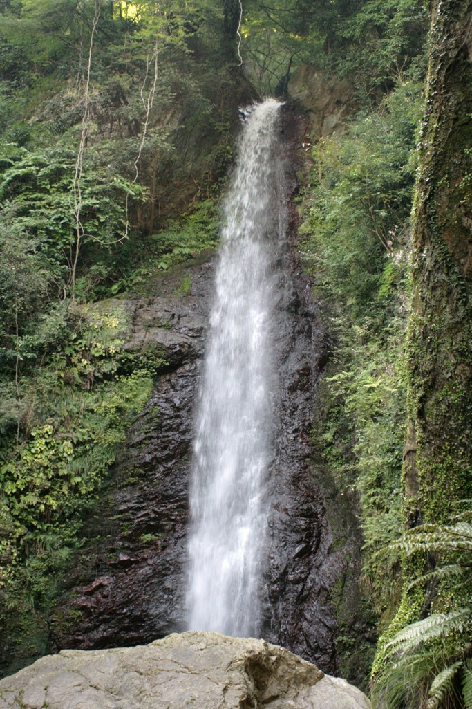a0104448_19425194.jpg
