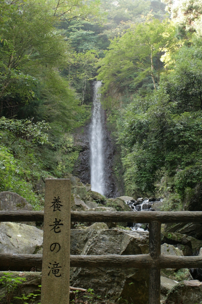 a0104448_1942832.jpg