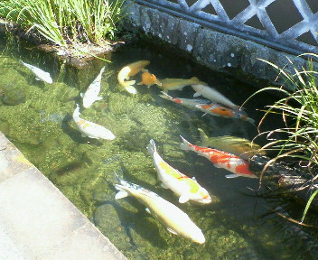 f0073848_2105049.jpg