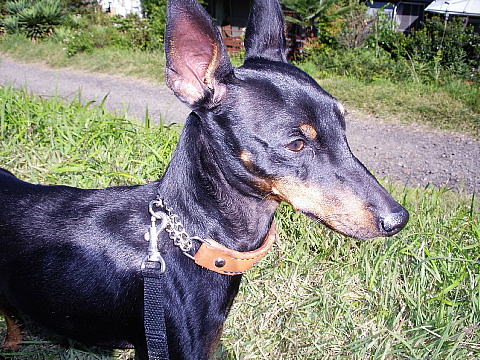 c0123149_1956077.jpg