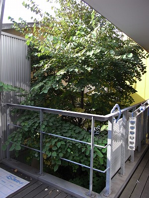 c0019551_20492261.jpg
