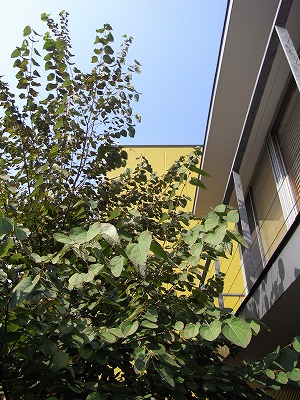 c0019551_20493956.jpg
