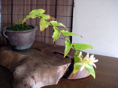 c0147952_21162312.jpg