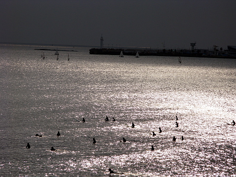 e0050753_2033132.jpg