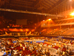 d0078557_3145045.jpg