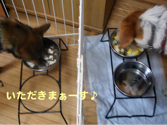 c0003858_2573085.jpg