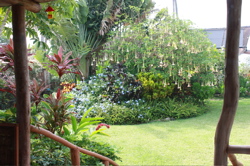 a0048361_16552228.jpg