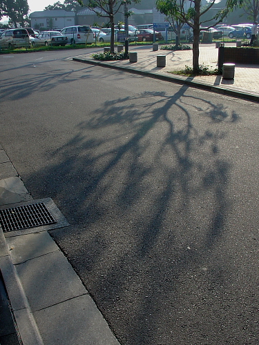 f0166066_10123395.jpg