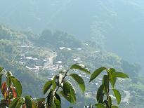 b0017568_22332099.jpg