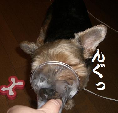 a0105570_10443611.jpg