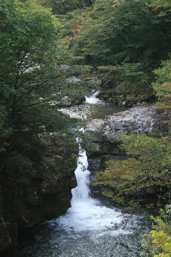 f0181173_2162886.jpg