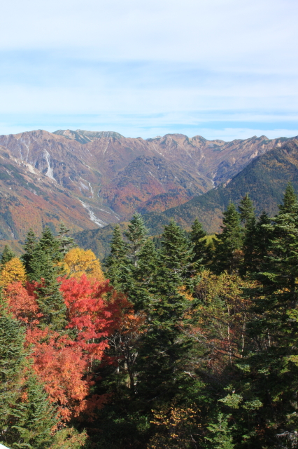 c0148777_21575360.jpg