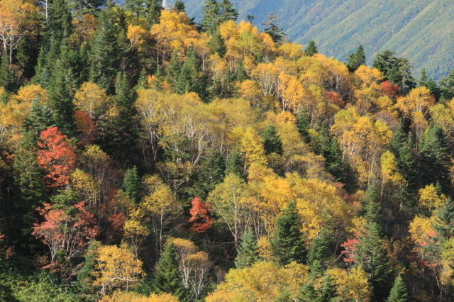 c0148777_2159174.jpg