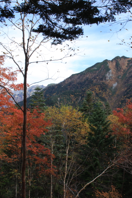 c0148777_221410.jpg